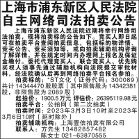 上海市浦东新区人民法院自主网络司法拍卖公告