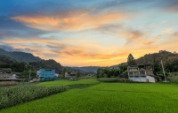 新路·新生 第四届大巴山花田艺穗节在白马毕成村顺利闭幕