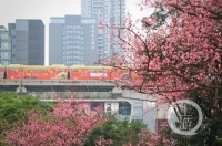 夜雨丨曾元飞：轨道列车变奏