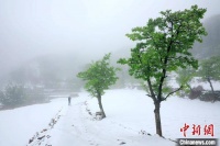 河南林州：春雪罩青山 美景如画卷