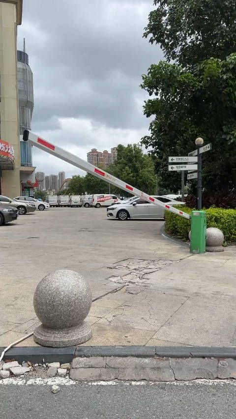 最强台风登场，栏杆：好大的风哟！好大的雨哟！好冷哟！