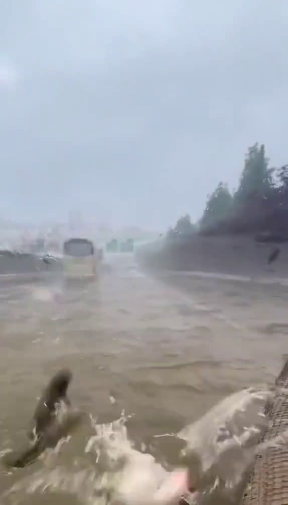 暴雨过后，鱼都在高速路上游泳