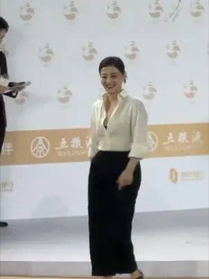 张嘉译梅婷亮相金熊猫奖红毯，两位都是低调朴实的演技派……