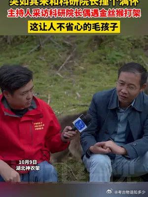 主持人采访院长偶遇神农架金丝猴打架……