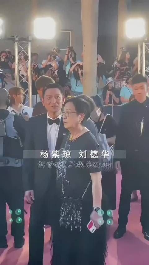 杨紫琼 明星 杨紫琼刘德华同框