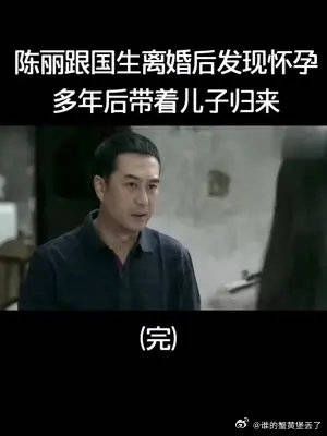 陈丽跟国生离婚后发现怀孕多年后带着儿子归来