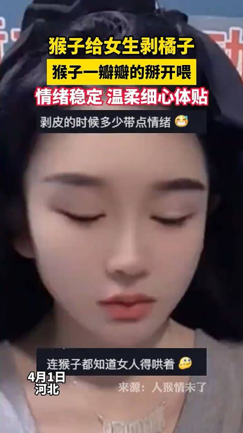 女子想吃橘子，猴子一瓣瓣的掰开喂，情绪稳定，温柔细心体贴