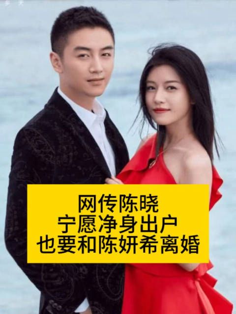 网传陈晓宁愿净身出户，也要和陈妍希离婚