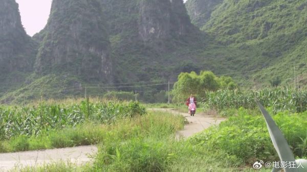 老总和老头解除误会，父亲让他上山砍柴，老总懵了