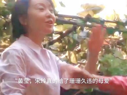 父亲再婚，只有宋莹和黄玲最先关心的是珊珊和小军，两个人变着法的对珊珊好…