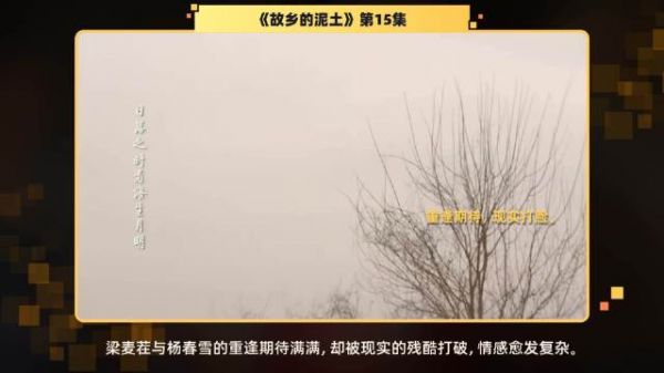 第15集 精彩片段当梁麦茬终于见到杨春雪时，心中满是期待