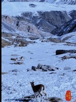 这里是《攀登者》的拍摄地，这里是祁连山的最高峰…