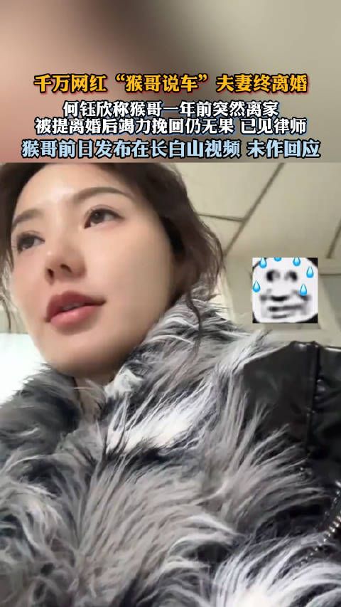 千万网红“猴哥说车”夫妻终离婚， 何钰欣称被猴哥提离婚后竭力挽回仍无果 ！