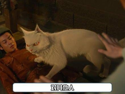 李饼真是双面猫猫侠，笑点比疑点多，既好笑又好磕，大理寺少卿游 李饼