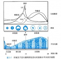 月经前出现褐色分泌物是怎么回事？医生解答