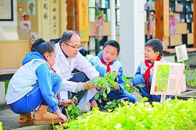 福建福州一小学的百草园内，社区中医志愿者正在指导孩子们辨识中药。谢贵明摄/光明图片